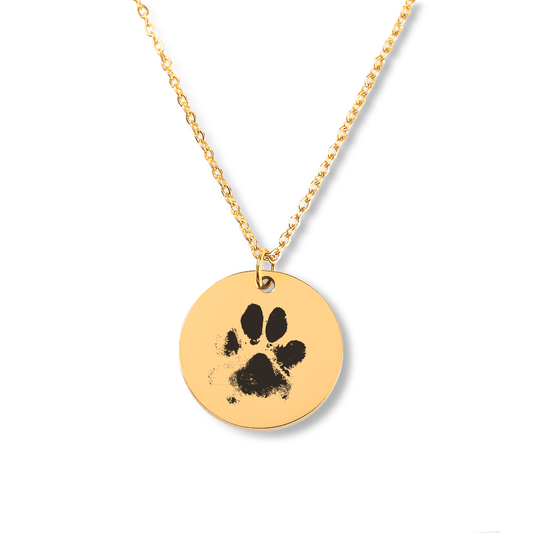 Paw Print Necklace - Bijouxelry